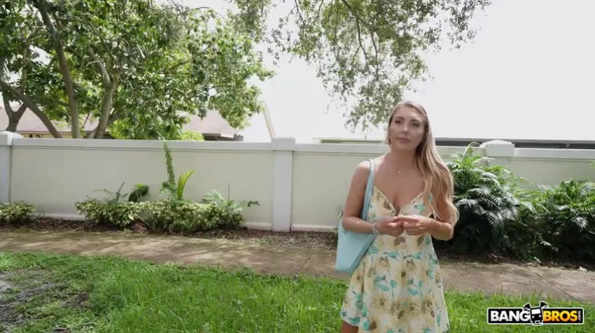 Bangbus 24 10 23 Harper Hill (1)