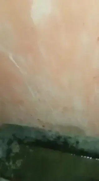 2023 09 24 13 39 00(1)